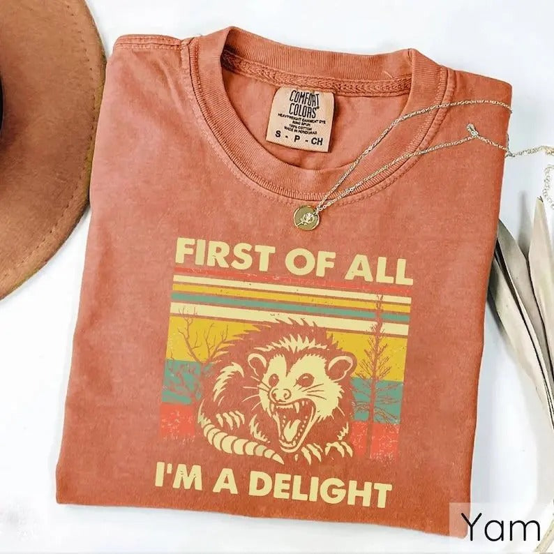 First Of All I'm A Delight T-shirts, Comfort Colors, Funny Opossum Shirt, Possum Lover Gift, Angry Possum Shirt Man...