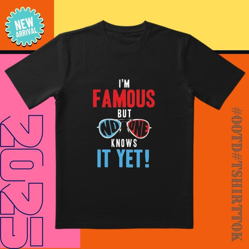 'Invisible Celebrity' Tee |   Orange-Blue Contrast |   'I'm Famous' Social Media Must-Have Hoodie, Sweatshirt