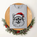 Pomeranian, Santa, Dog, Christmas, Dog Lover, Pet T-Shirt, Soft Style Tee, Women's Graphic Tshirt Hoodie, Sweatshirt