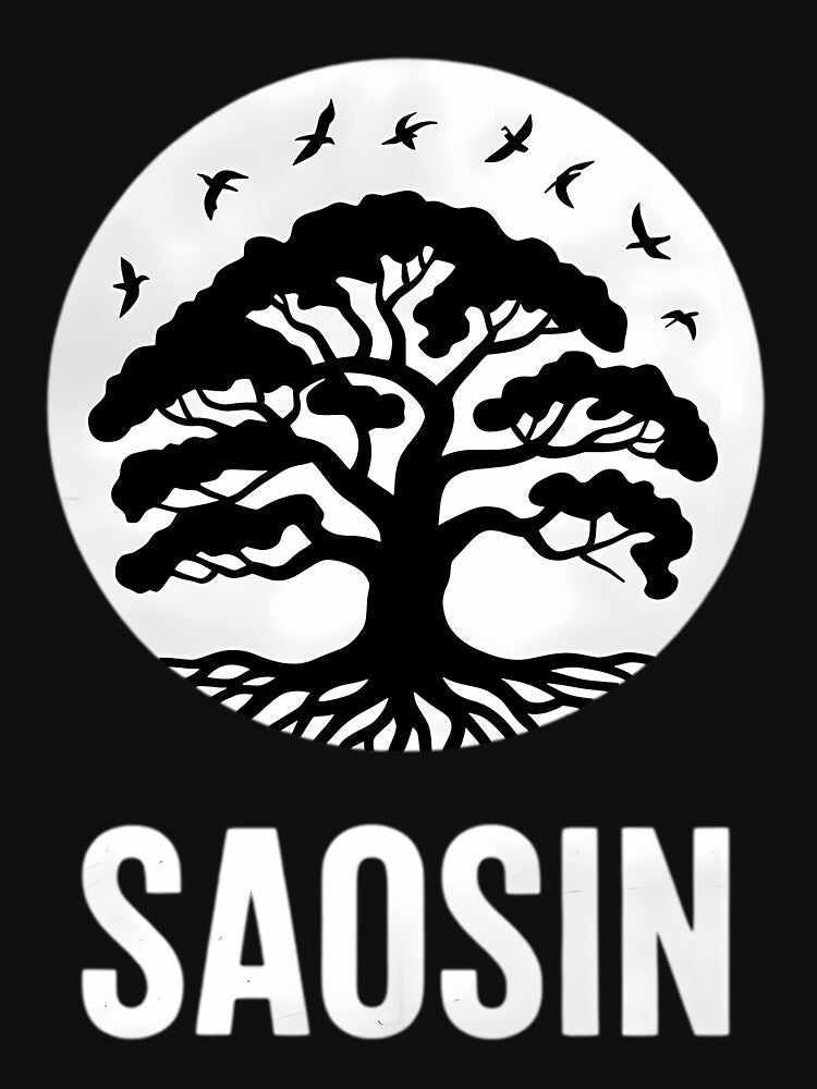 Saosins Rock Band by Leah Cunningham
